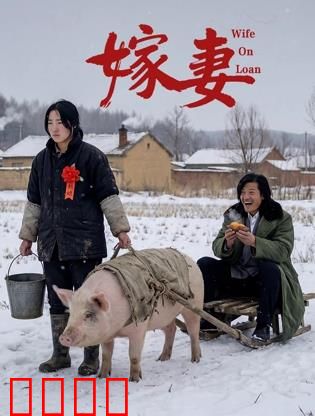 嫁妻：血色交易