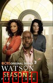 华生第二季：暗影迷踪