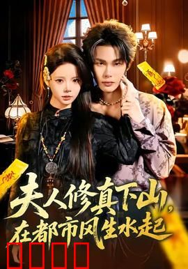 夫人修真下山，在都市风生水起：都市修真传奇