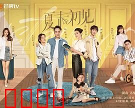 《夏末初见：那年夏天的心动