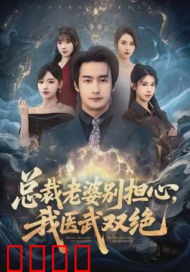 总裁老婆别担心，我医武双绝：医武护妻