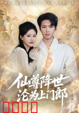 仙尊降世沦为上门郎：赘婿逆袭记