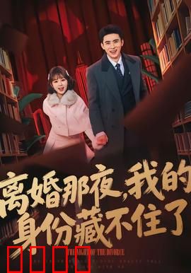 离婚那夜，我的身份藏不住了：身份揭秘