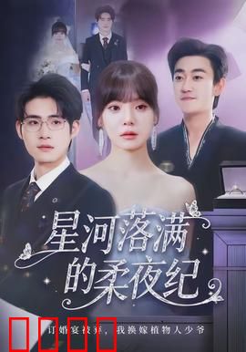 星河落满的柔夜纪：时空之恋