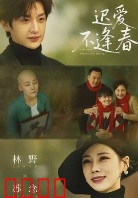 迟爱不逢春：错过的花期