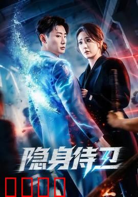 隐身侍卫：隐形的守护者