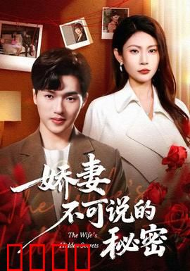娇妻不可说的秘密：身份疑云