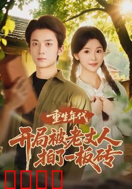 重生年代开局被老丈人拍了一板砖：爆笑翻身