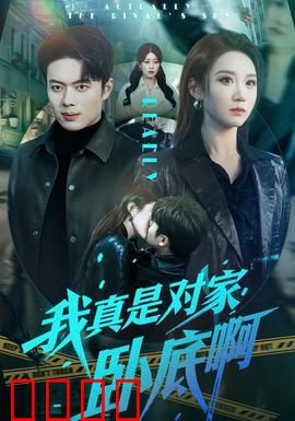 我真是对家卧底啊：双面谍战