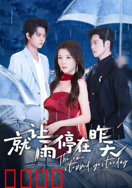 就让雨停在昨天：错过的雨季