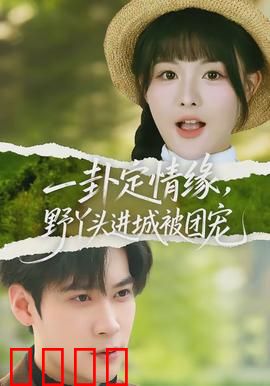 一卦定情缘，野丫头进城被团宠：妙算姻缘