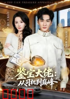 鉴宝大佬：逆天改命