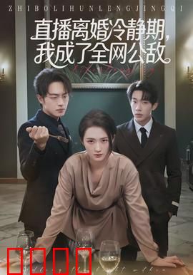 直播离婚冷静期，我成了全网公敌：直播间风波