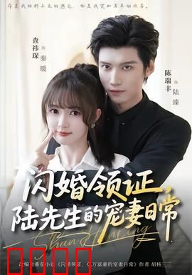 闪婚领证，陆先生的宠妻日常：先婚后爱