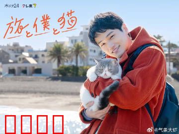 旅行和我和猫：心灵之旅