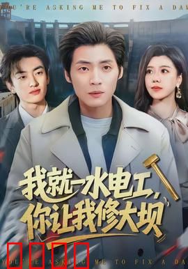 我就一水电工，你让我修大坝：水电工变身大工程师
