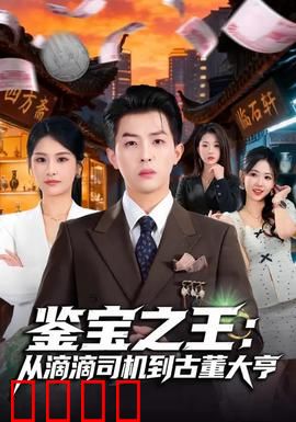 鉴宝之王：古玩界传奇