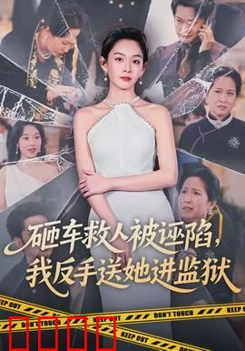 砸车救人被诬陷，我反手送她进监狱：正义永不迟到