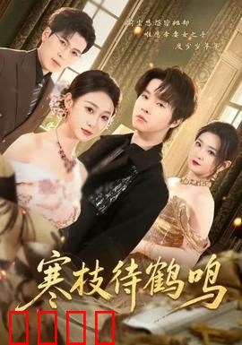 寒枝待鹤鸣：冬日守候