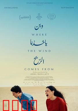 风来之所：命运的交织