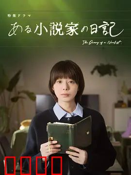 某小说家的日记：创作与现实的交错