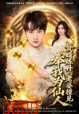 赘婿炼丹，老婆撞见，奉我为仙人：修仙逆袭