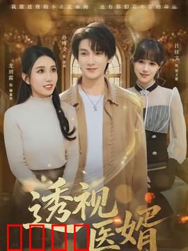 透视医婿：透视无敌