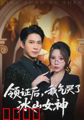 领证后，我气哭了冰山女神：闪婚逆袭