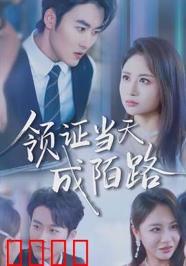 领证当天成陌路：红本变分手信