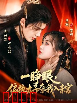 一睁眼，偏执太子夺我入东宫：穿越女自救指南