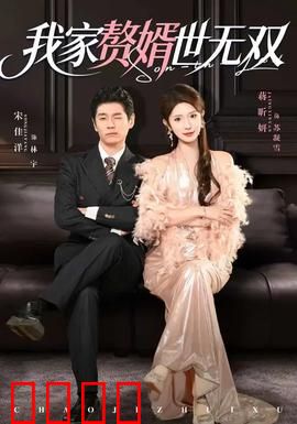 我家赘婿世无双：一怒冲天