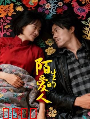 陌生的爱人：失忆妻子的双重生活