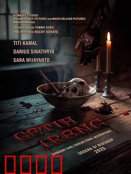 黑豆：忠犬八公的乡野版