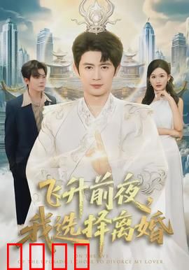 飞升前夜，我选择离婚：大道无情