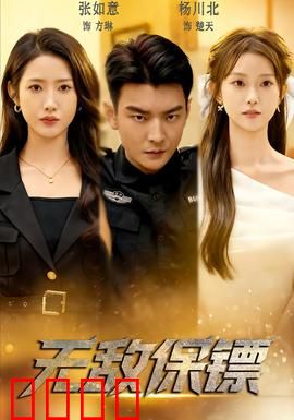 无敌保镖：地下秩序