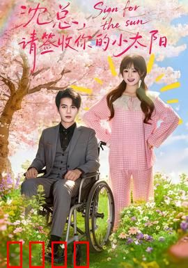 沈总，请签收你的小太阳：爱意逆袭