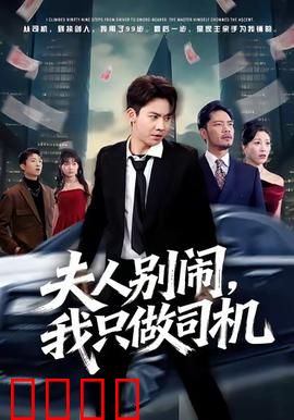 夫人别闹我只做司机：大小姐的御用司机