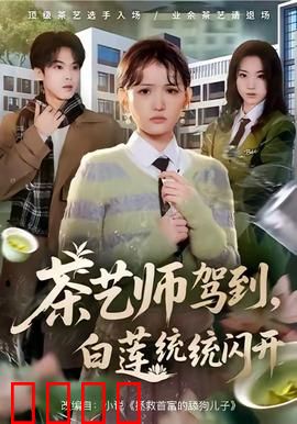 茶艺师驾到白莲统统闪开：身世之谜