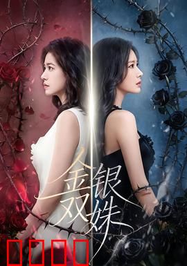 金银双姝：谜城姐妹