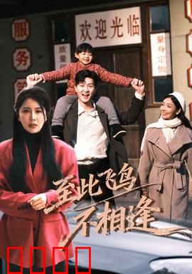 到此飞鸟不相逢：错过的遗憾