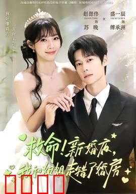 救命！新婚夜，我和姐姐走错了婚房：阴差阳错