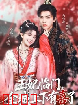 王妃临门全城上下有喜了：爆笑王妃攻略