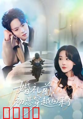 婚礼前初恋穿越回来了：旧爱重逢抉择