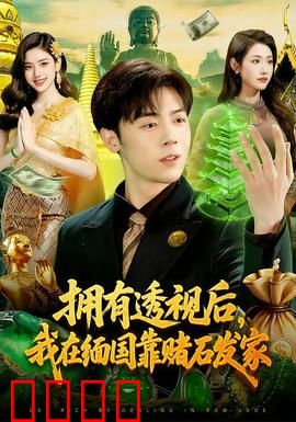 拥有透视后，我在缅国靠赌石发家：废柴逆袭