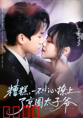 糟糕，一不小心撩上了京圈太子爷：命运邂逅