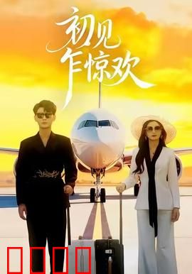 初见乍惊欢：一场错位时空的告白