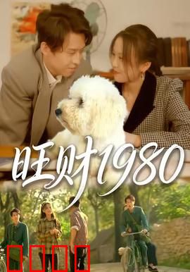 旺财1980：逆袭人生