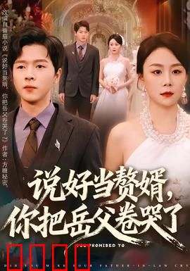 说好当赘婿，你把岳父卷哭了：逆袭爽文