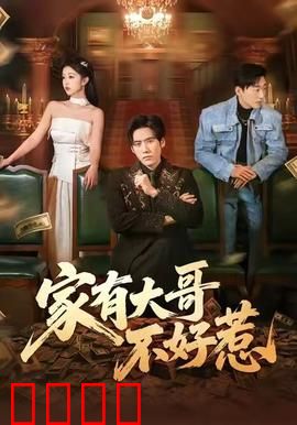 《大哥归来：血战复仇路》