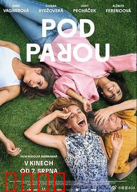 酒精计划2025：醉后危机